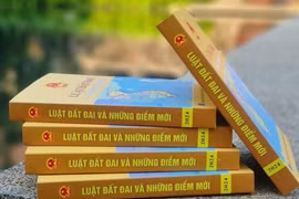 Hoàn thành xây dựng văn bản quy định chi tiết thi hành Luật Đất đai và 3 Luật liên quan trong tháng 6/2024