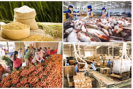 Xuất khẩu nông lâm thủy sản thu về gần chục tỷ đô chỉ trong 2 tháng đầu năm