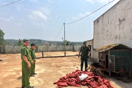 Công an triệt phá đường dây vận chuyển, mua bán ma túy liên tỉnh số lượng lớn