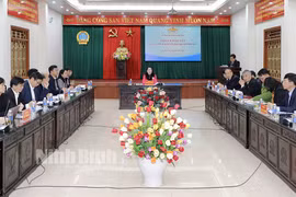 Khảo sát việc chấp hành pháp luật về tư pháp người chưa thành niên tại Ninh Bình