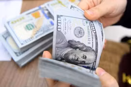 Được USD tự do “nhường sàn diễn”, USD ngân hàng lại cán mốc 25.000 đồng