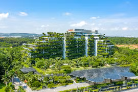 Việt Nam đang thiếu “kiến trúc sư” tạo nền móng cho tăng trưởng xanh