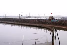Nam Định: Tăng cường công tác quản lý đất bãi bồi ven sông, ven biển
