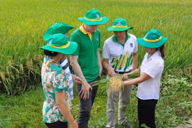 Đã đến lúc không thể không sửa đổi Luật 71