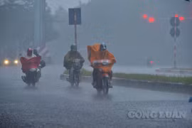 Áp thấp nhiệt đới được dự báo không hình thành, từ nay đến cuối năm Việt Nam có thể đón 5-7 cơn bão