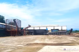 Cần tìm một 'lối ra' cho các doanh nghiệp sản xuất dăm gỗ ở Hà Tĩnh
