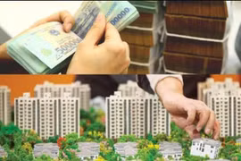 Dịch vụ ngân hàng, chứng khoán, bất động sản tiếp tục không được giảm thuế VAT