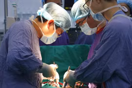 Không chủ quan trước nguy cơ dịch bệnh, tai nạn trong dịp Tết