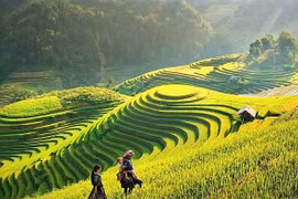 Vịnh Hạ Long, Sa Pa lọt top 7 điểm đến thịnh hành nhất thế giới
