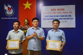 Hội Nhà báo tỉnh Gia Lai khen thưởng 2 tập thể, 16 cá nhân có thành tích xuất sắc