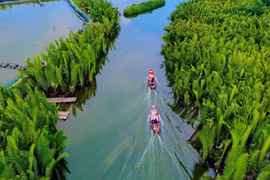 Quảng Ngãi công nhận điểm du lịch 'Rừng dừa nước Tịnh Khê'