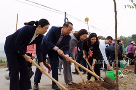 Bắc Ninh: Hội Nông dân tỉnh phấn đấu trồng mới hơn 74.000 cây xanh trong năm 2024