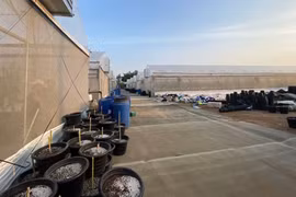 Tiếp cận “Những nẻo đường... cần sa”