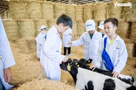 Các tài năng nhí bất ngờ với robot tại trang trại Vinamilk Green Farm và siêu nhà máy Vinamilk
