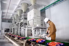 Tập đoàn Hóa chất Đức Giang (DGC): Lãnh đạo cấp cao bị khởi tố, cổ phiếu ‘lao dốc’ dù lợi nhuận nghìn tỷ mỗi năm và có đến 13.100 tỷ tiền mặt