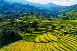Lào Cai ra mắt 4 tour du lịch kết hợp thiện nguyện sau bão Yagi