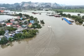 Hà Nam phát tin báo động 3 trên sông Đáy, sẵn sàng triển khai phương án hộ đê