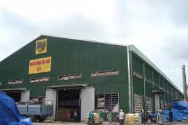 Phân bón Bình Điền (BFC) kinh doanh khởi sắc, nợ phải trả vẫn áp đảo vốn chủ