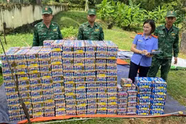Gia Lai: Phát hiện gần 600 kg pháo nổ trong vườn cà phê