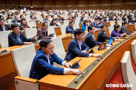 Quốc hội 'chốt' quy định giấy phép khai thác khoáng sản có thời hạn không quá 30 năm