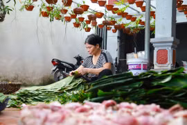 Bánh chưng Tranh Khúc - đậm đà hương vị ẩm thực truyền thống của người Việt