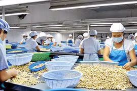 Doanh nghiệp cần cẩn trọng khi xuất khẩu sang Tây Ban Nha