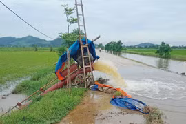 Hà Nam: Hơn 5.000 ha lúa mùa thiệt hại do mưa úng