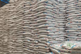 Công ty CP Công nông nghiệp Tiến Nông bị xử phạt hơn 1,3 tỷ đồng