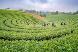 Vẻ đẹp tiềm ẩn của núi rừng và văn hóa Việt Bắc làm du khách nhớ đến Du lịch Thái Nguyên