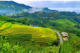 Đất nước mình đâu cũng đẹp như tranh