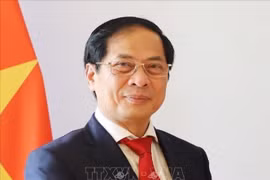 Tóm tắt tiểu sử Phó Thủ tướng Chính phủ Bùi Thanh Sơn
