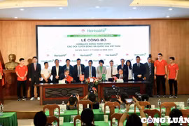 Công bố Nhà tài trợ chính thức của các Đội tuyển bóng đá quốc gia Việt Nam