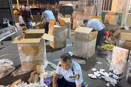 Tạm giữ hơn 18.000 hộp thuốc tân dược nghi hàng lậu tại khuôn viên kho quốc nội Sân bay Tân Sơn Nhất