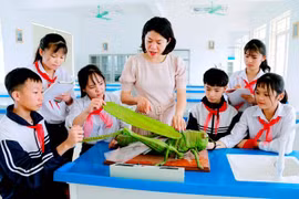 Tạo điều kiện cho địa phương mạnh dạn "đi trước, làm thử" những cơ chế, chính sách mới về giáo dục và đào tạo