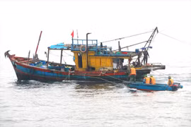 Tổ chức vi phạm hành chính trong lĩnh vực thủy sản bị phạt tới 2 tỷ đồng