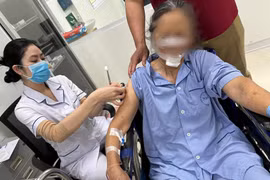 Hà Nội: Một cụ bà 68 tuổi bị chó nặng 20kg cắn phải khâu 70 mũi