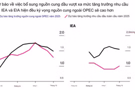 Tại sao các nhà giao dịch dầu mỏ trở nên bi quan về năm 2025?