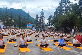 Sa Pa khởi động tour du lịch Yoga năm 2024