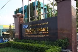 Gỗ Trường Thành (TTF) huỷ bỏ chào bán cổ phiếu riêng lẻ, không chia cổ tức