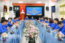 Ninh Bình: Đoàn viên, thanh niên đã thực hiện 1.600 công trình, phần việc trong 3 tháng đầu năm 2024