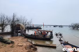 Kinh tế biển, các vùng ven biển đang dần trở thành động lực phát triển kinh tế - xã hội của Ninh Bình