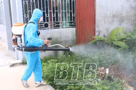 Thái Bình: Tăng cường giám sát, phát hiện sớm các bệnh truyền nhiễm