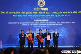 Phó Thủ tướng Trần Lưu Quang dự công bố Quy hoạch tỉnh Quảng Nam thời kỳ 2021-2030