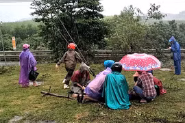 Đuổi con khỉ leo trên cột điện gần nhà, một người ở Quảng Bình bị điện giật tử vong