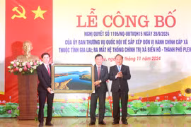 Gia Lai: Công chức, viên chức cấp xã dôi dư được hỗ trợ tối đa 100 triệu đồng/người.