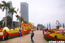 Đà Nẵng giữ lại đường hoa Xuân đến hết Tết Nguyên tiêu để phục vụ du khách