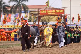 Hà Nam: Tưng bừng khai hội Tịch điền Đọi Sơn Xuân Giáp Thìn 2024