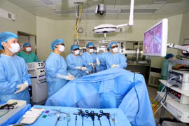 Không đào tạo từ xa với ngành liên quan sức khỏe và giáo viên