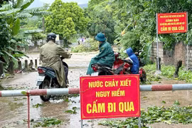Tam Đảo tạm dừng các hoạt động du lịch