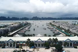 Hải Phòng, Quảng Ninh khẩn trương nối lại hoạt động du lịch